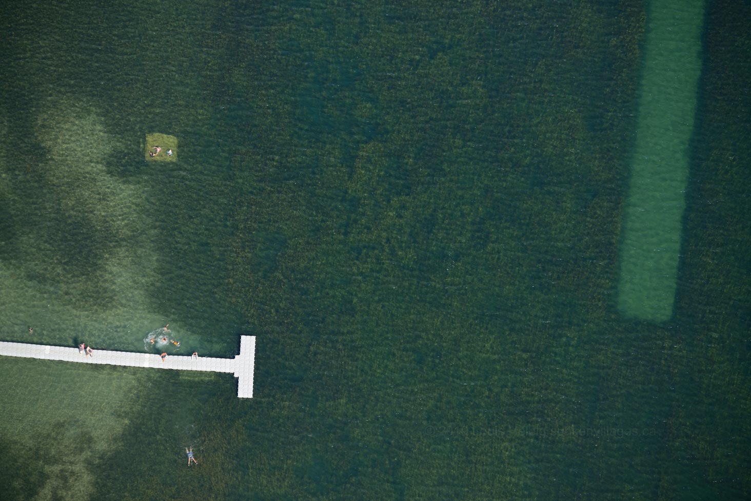 Morrisburg Swimmers, Morrisburg, Ontario, Canada